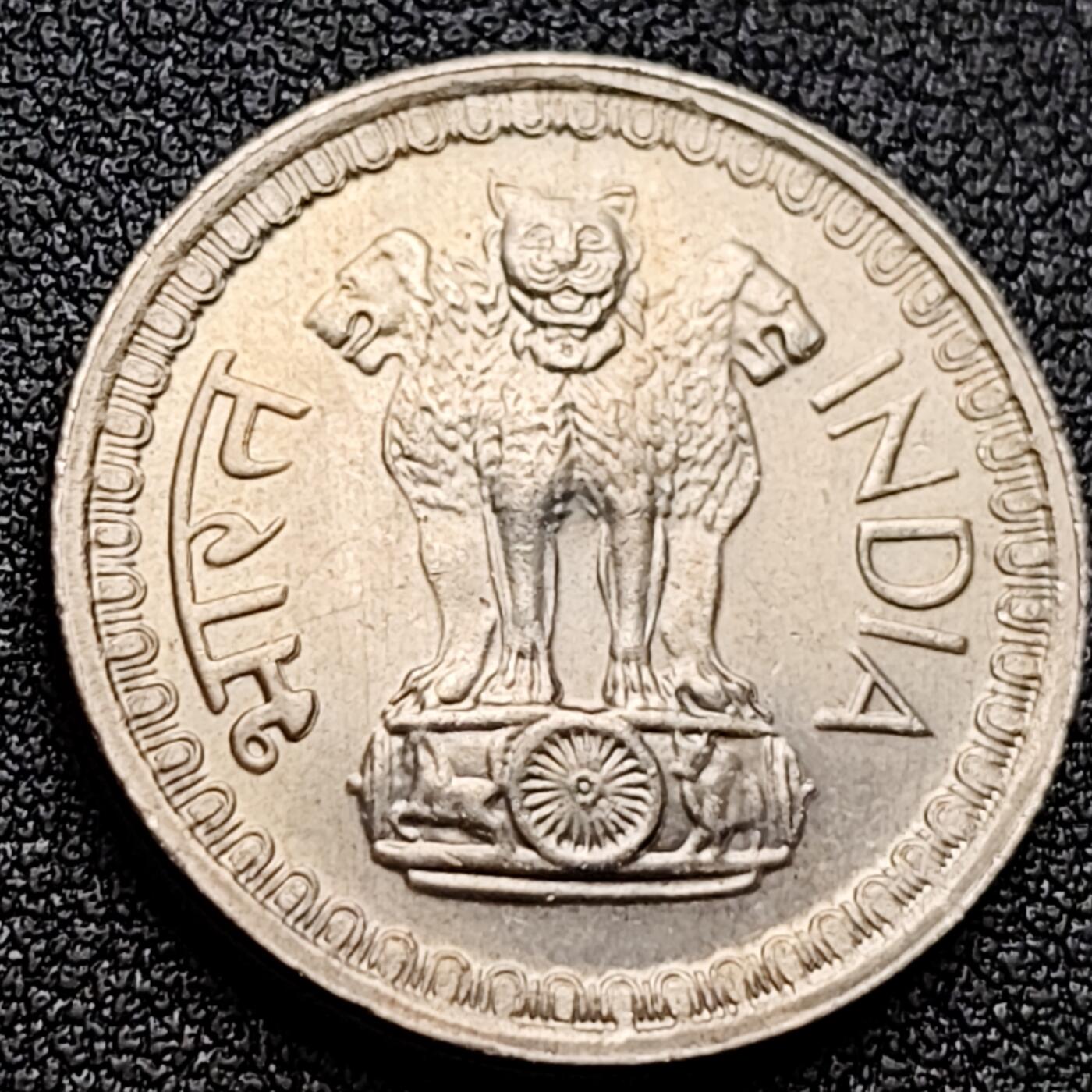 泉币菌-第121场-精品福利场