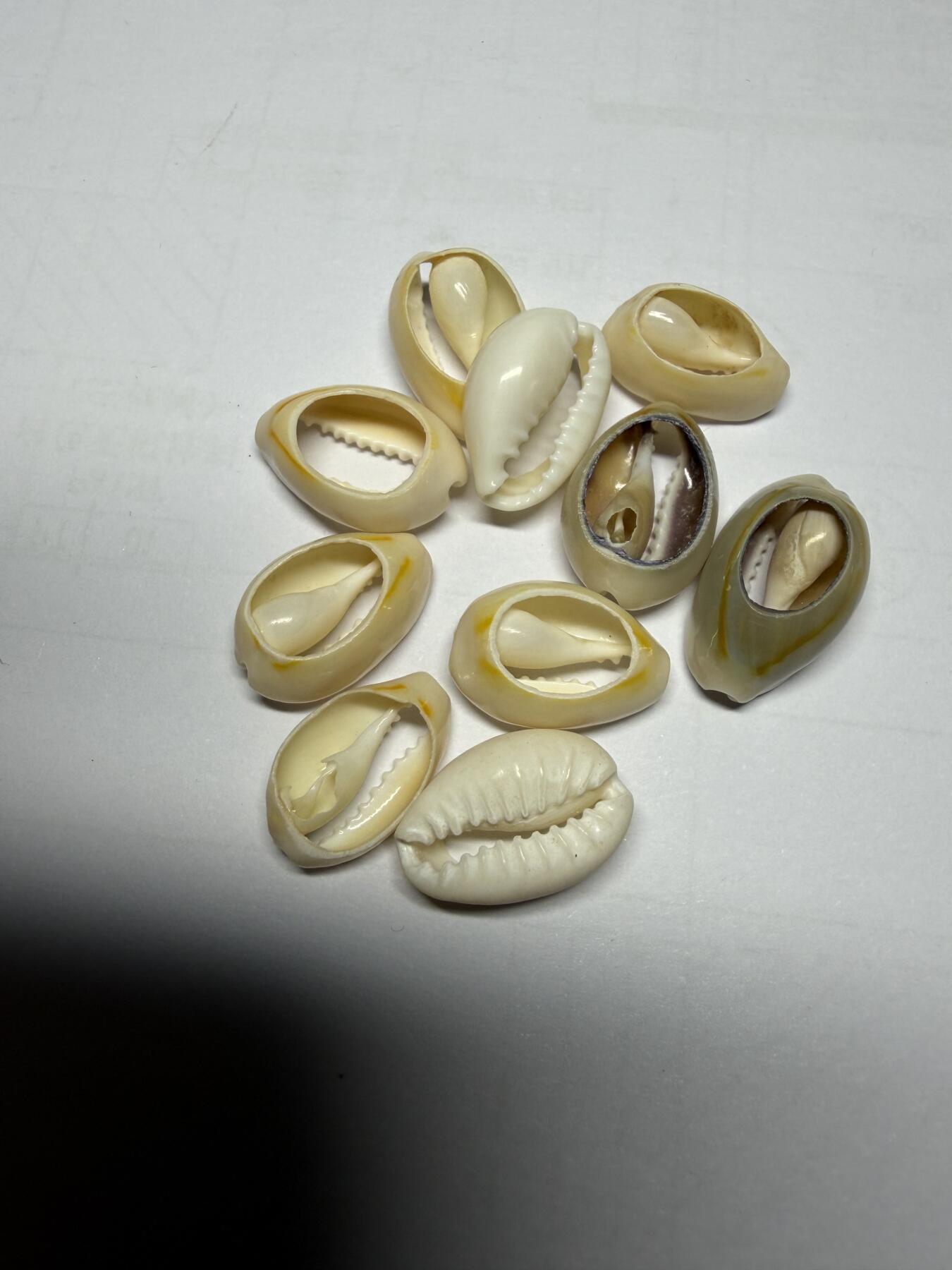 2025年集古藏今外币拍卖第十期-第1场—（总第281拍），本期古钱币全场包真，拍卖名称未备注的均无补裂翘等缺陷，可以寄存60天，满160元包邮。 新贝币10枚