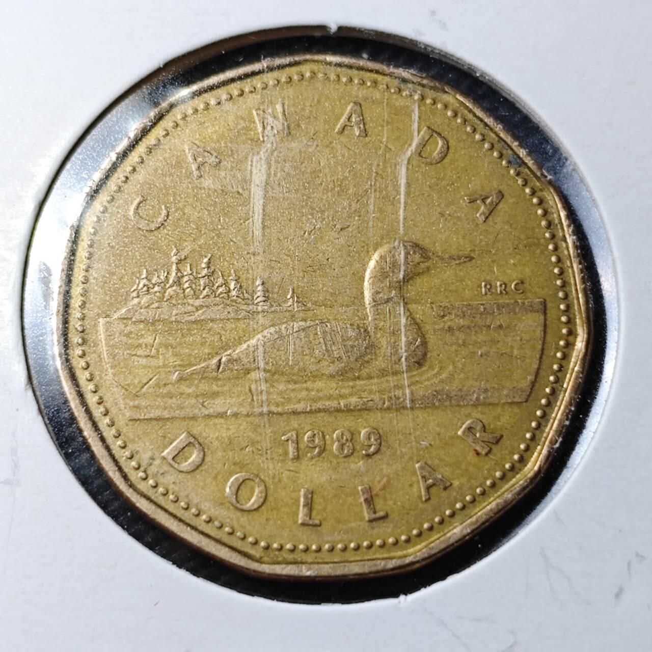 KK钱币收藏小铺  第361场  2月预留时间 周末发货  加拿大1元