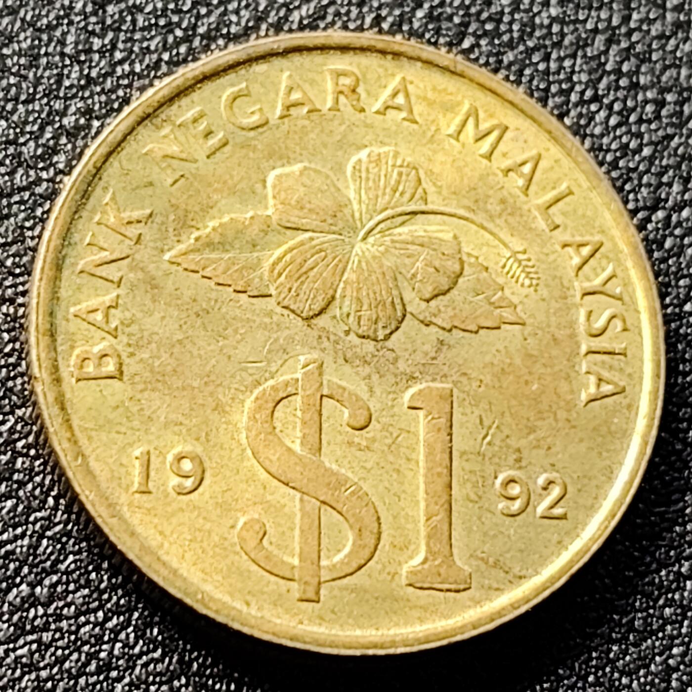 泉币菌-第120场-精品福利场