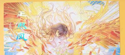 趣卡卡拍No.18期（无佣金免手续费，分享成交有奖） - 【九拼】焱卡文化-刷子人间传 王熙凤 九拼9张