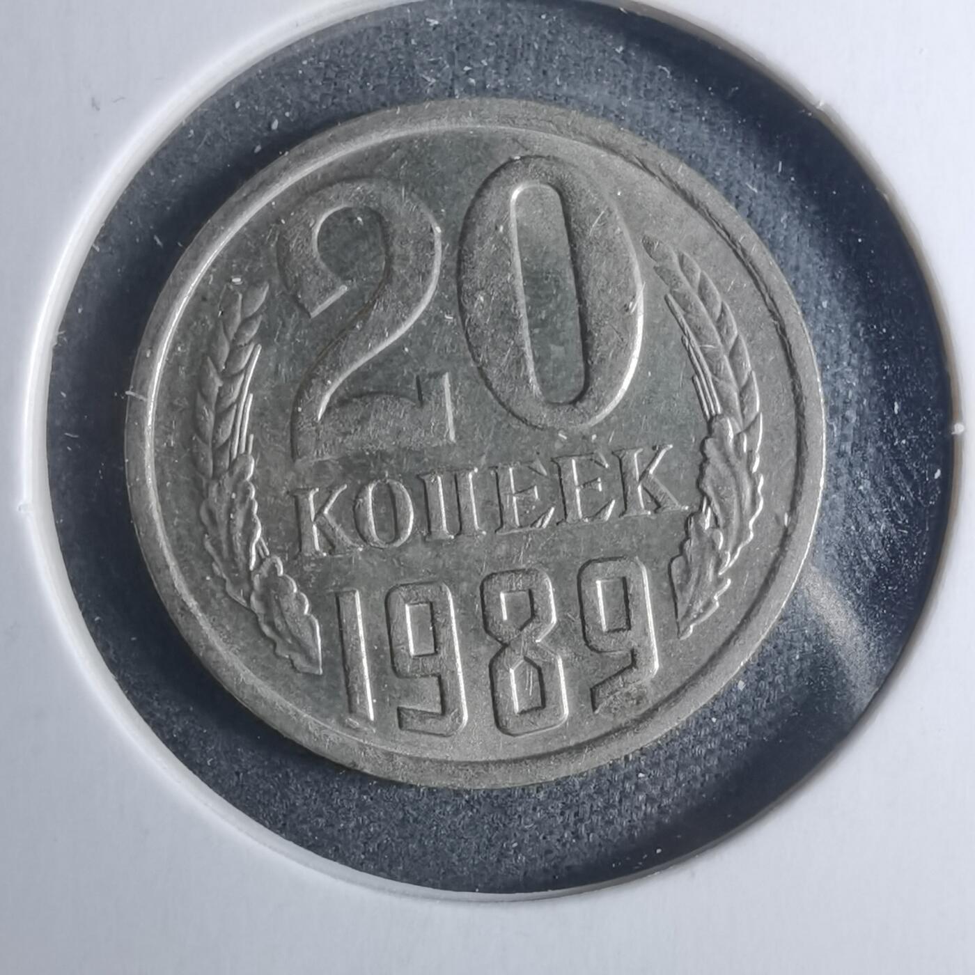 沼泽如烟--第885场 苏联1989年20戈比