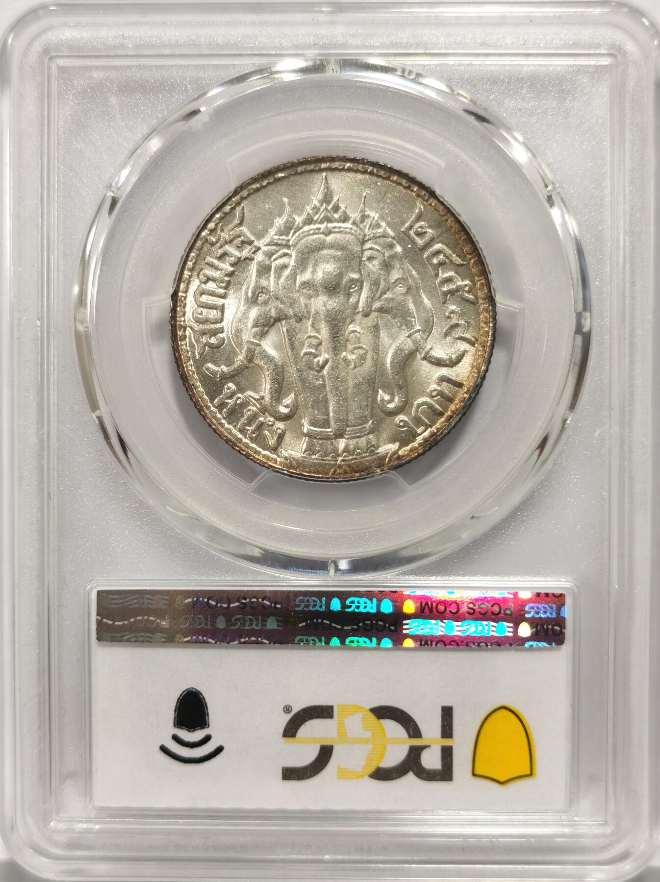 博洋堂世界钱币拍卖第144期（全场包邮）