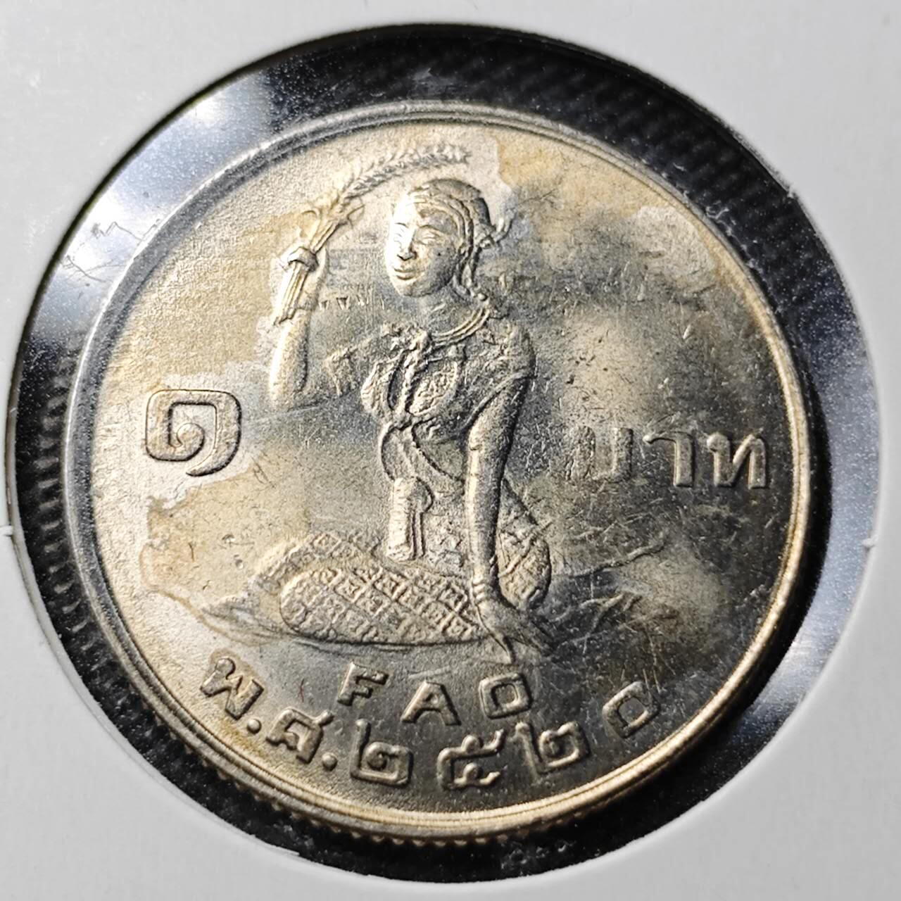 KK钱币收藏小铺  第361场  2月预留时间 周末发货