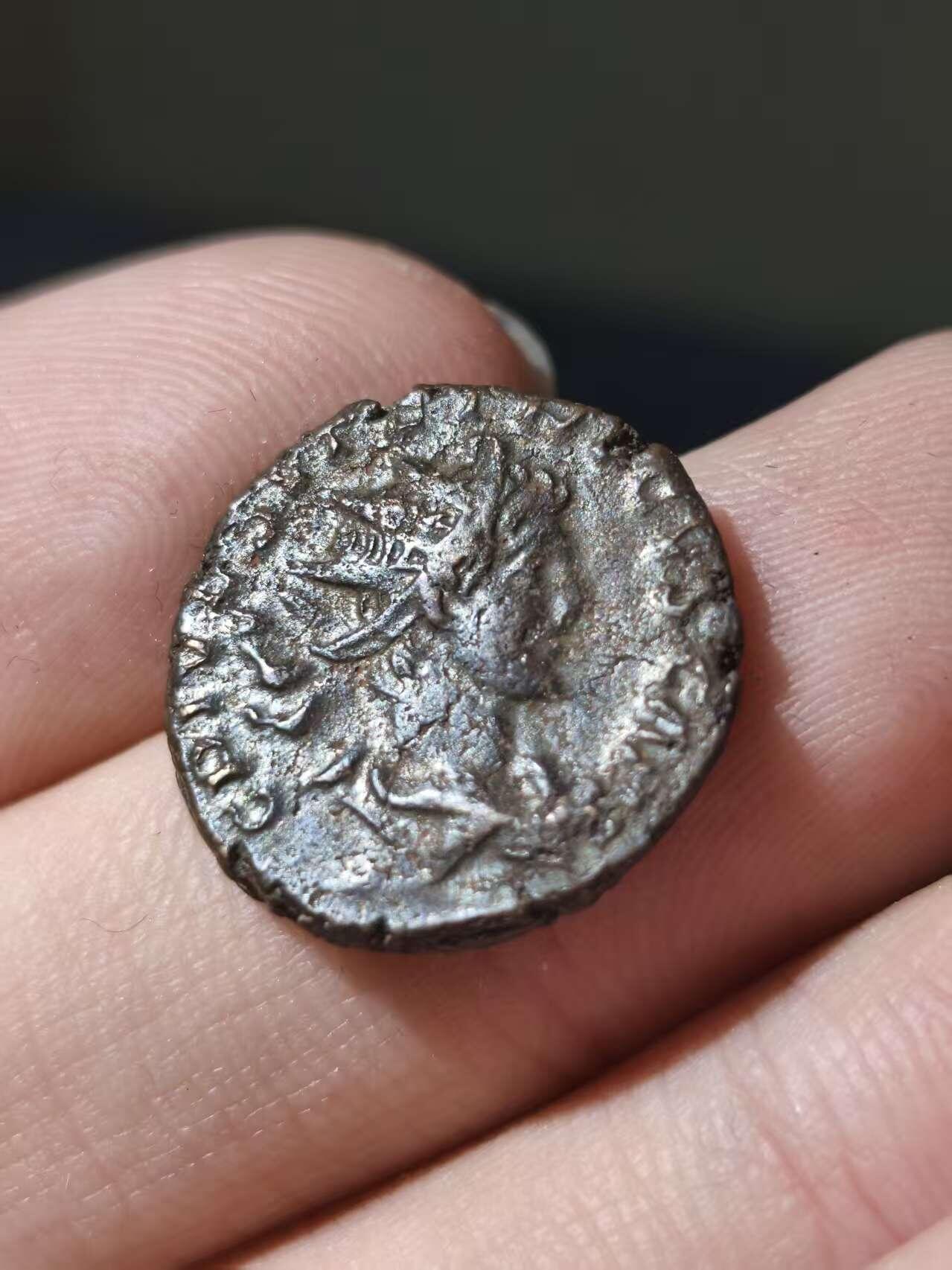 星盘世界钱币十一月五日古典币专场