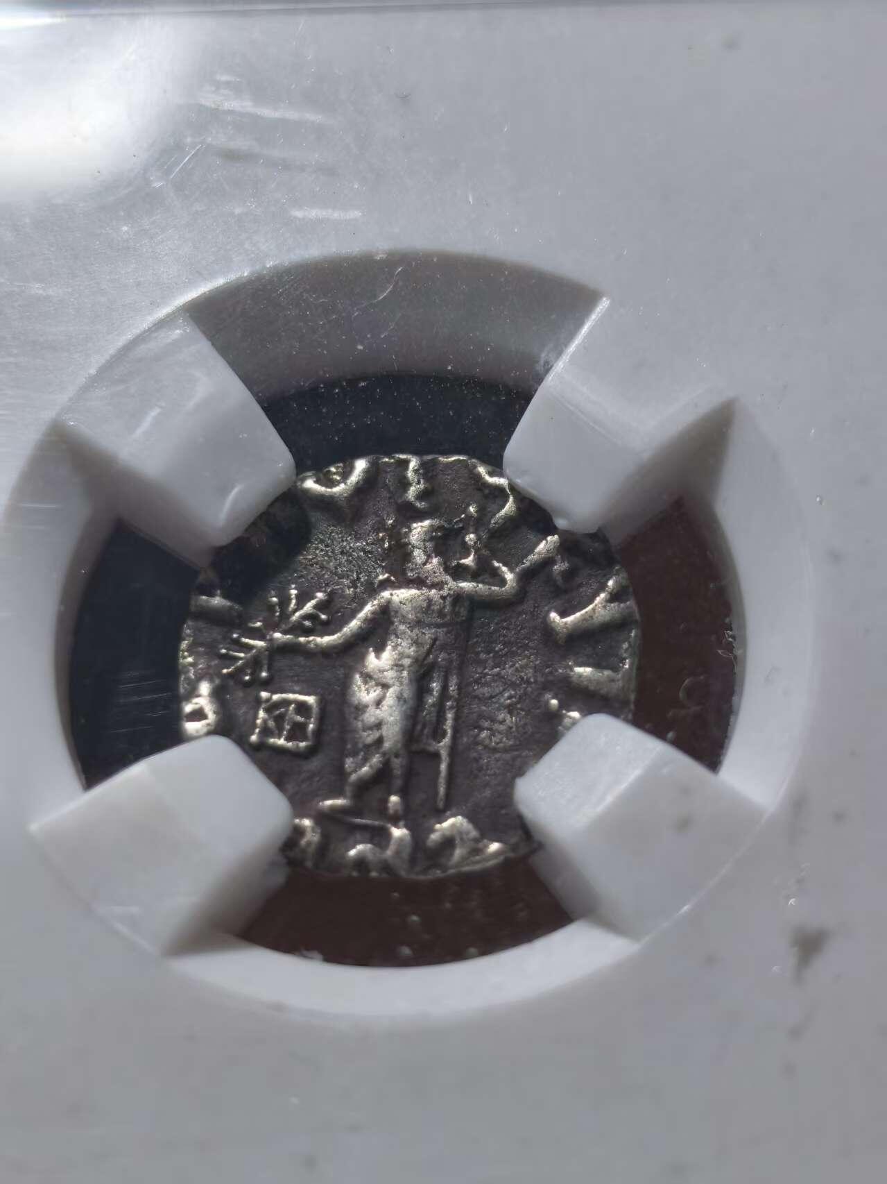 星盘世界钱币十一月五日古典币专场