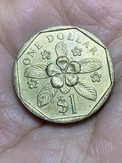 2025年第一百二十场(总第一百四十六场）外国好品散币(免佣金) - 新加坡🇸🇬1988年1元(高盾哭脸版)