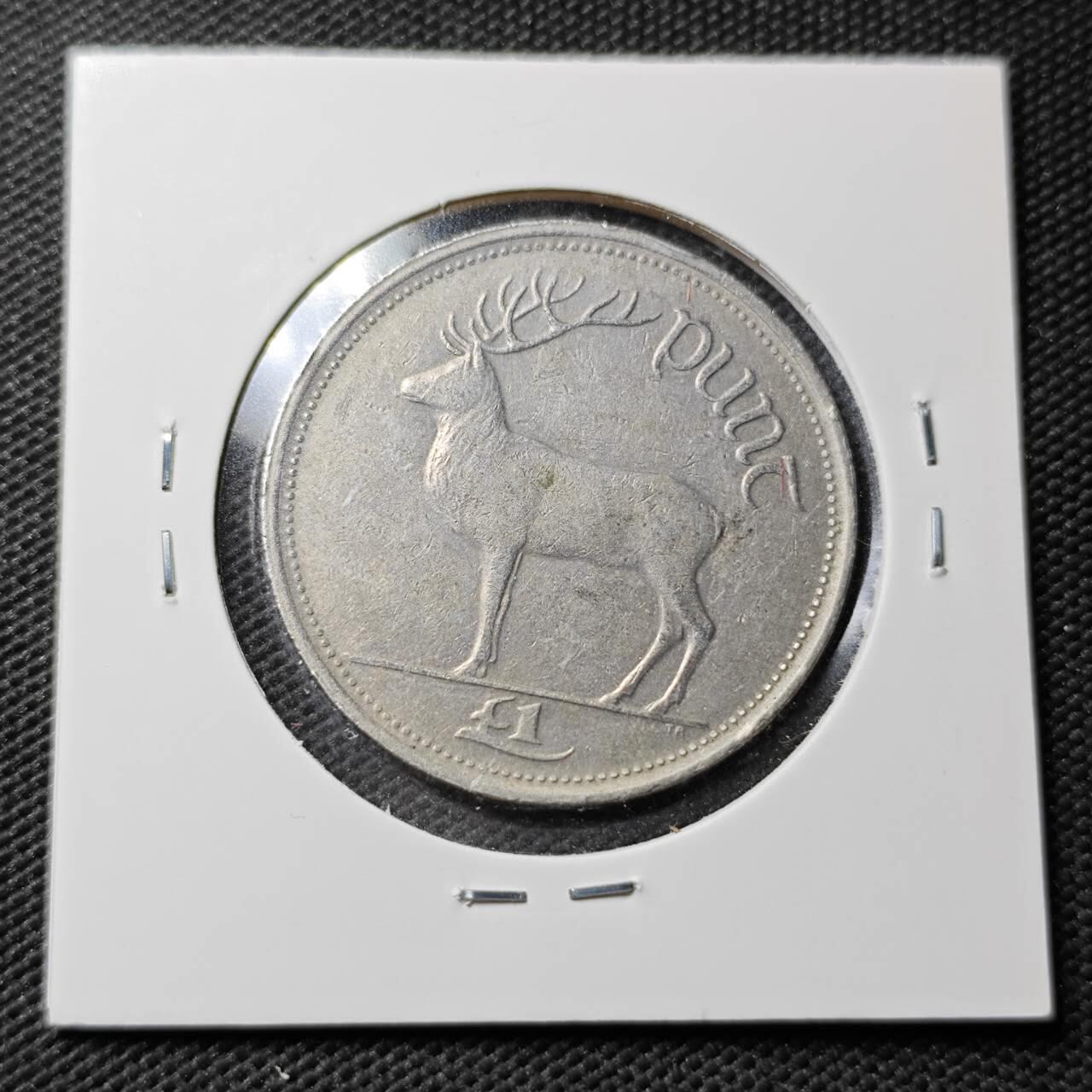 KK钱币收藏小铺  第361场  2月预留时间 周末发货  1990爱尔兰1镑