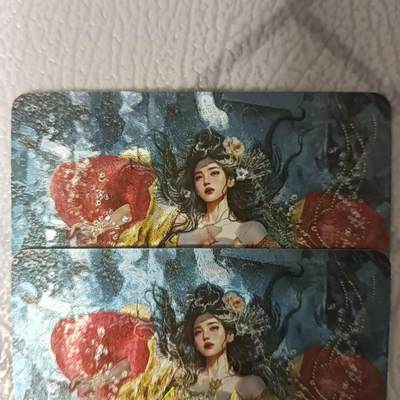 花开卡拍第45期（11月2号周日截拍，品控勿拍!!!拍品不寄存，运费5元，自制卡难免瑕疵，可能存在轻微撞角爆边等出厂瑕疵，品控介意勿拍！） - 燎原 焱卡文化 人间传 太平公主双服饰 幻粗2张