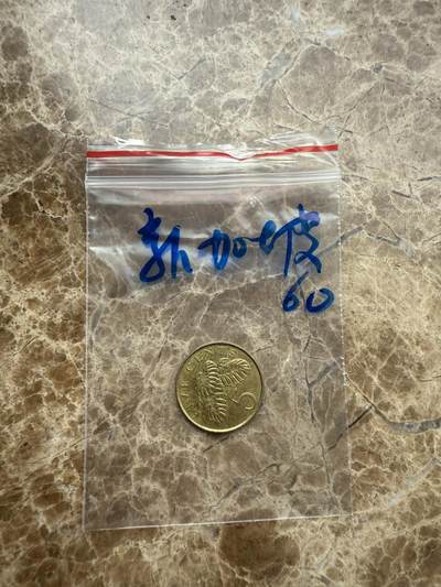四海杂货铺第九场 - 新加坡硬币