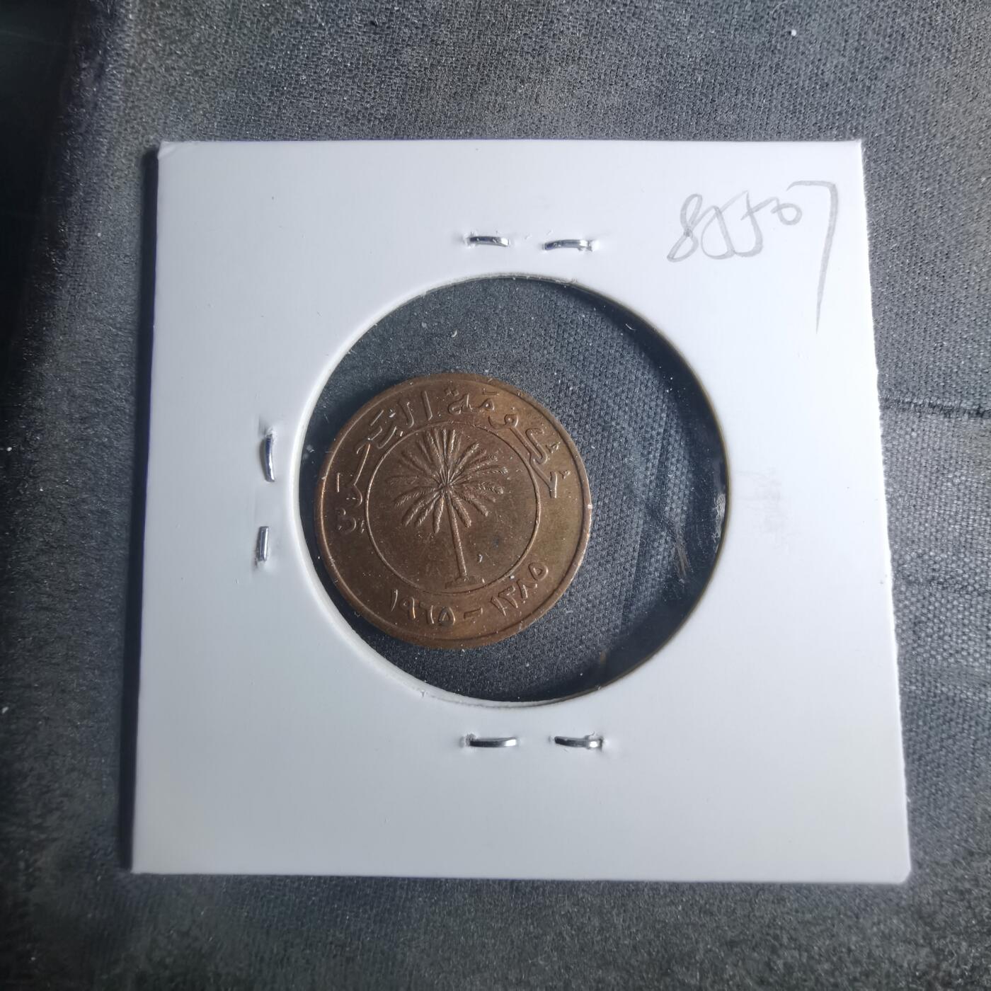 沼泽如烟--第885场 巴林