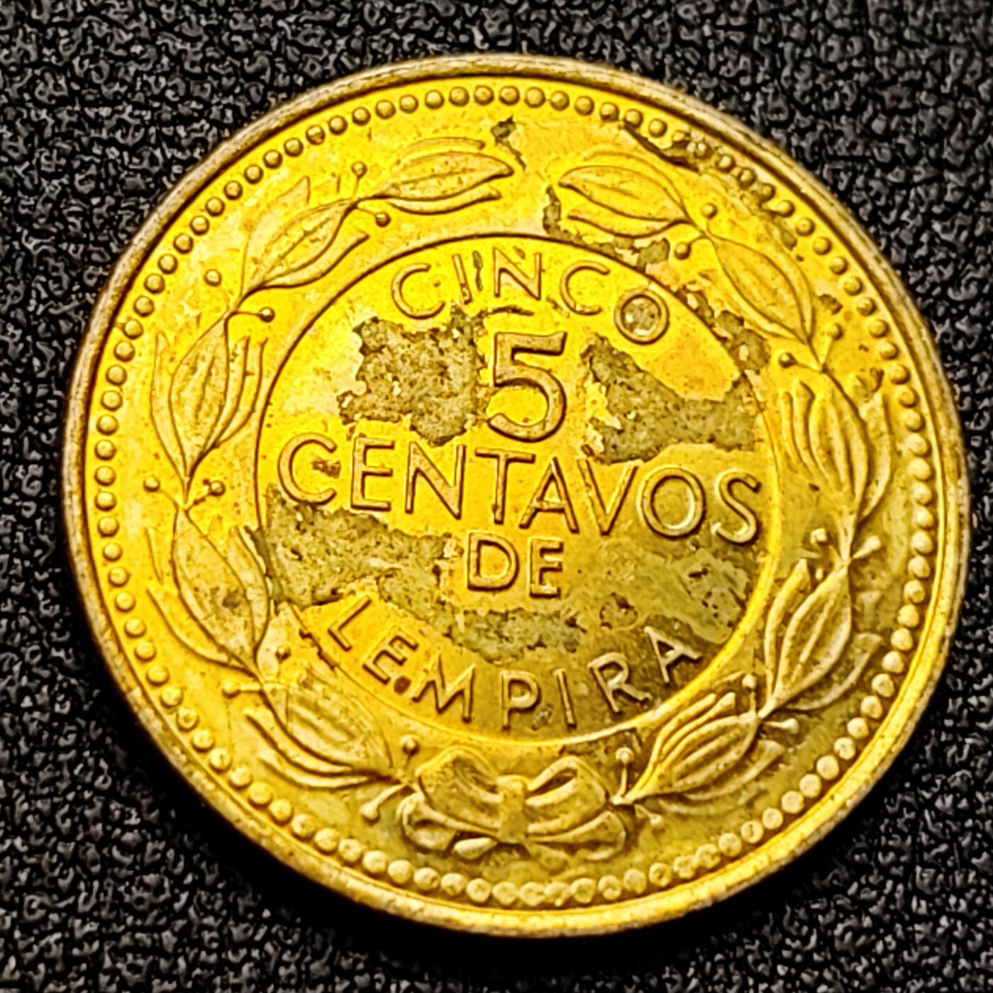 泉币菌-第121场-精品福利场