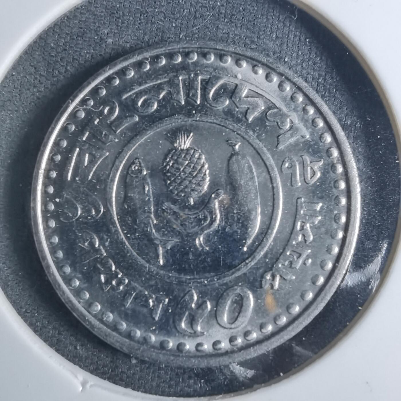 沼泽如烟--第885场 孟加拉