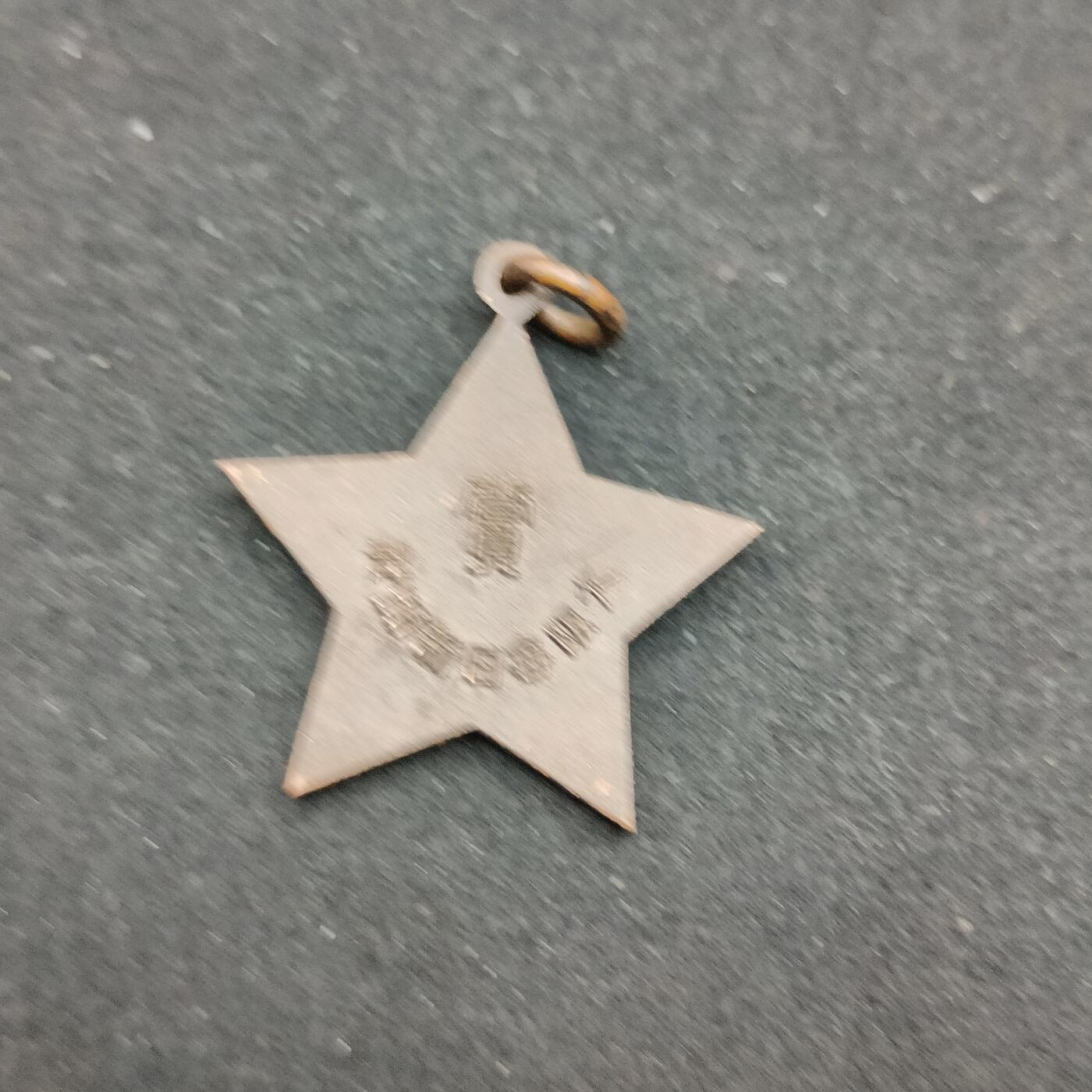 0元起拍勋章 第306期 咸鱼国勋章拍卖专场 11月2日（周日）下午6：00开始 每日新闻社徽章