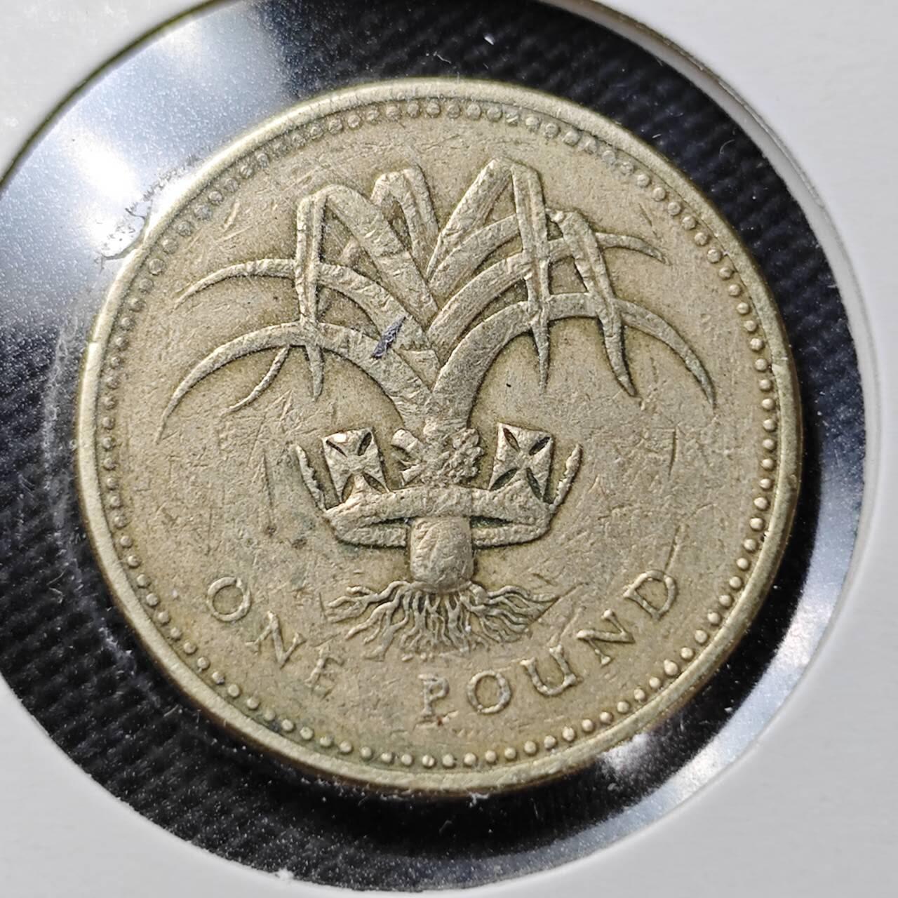 KK钱币收藏小铺  第362场  2月预留时间 周末发货  英国1镑