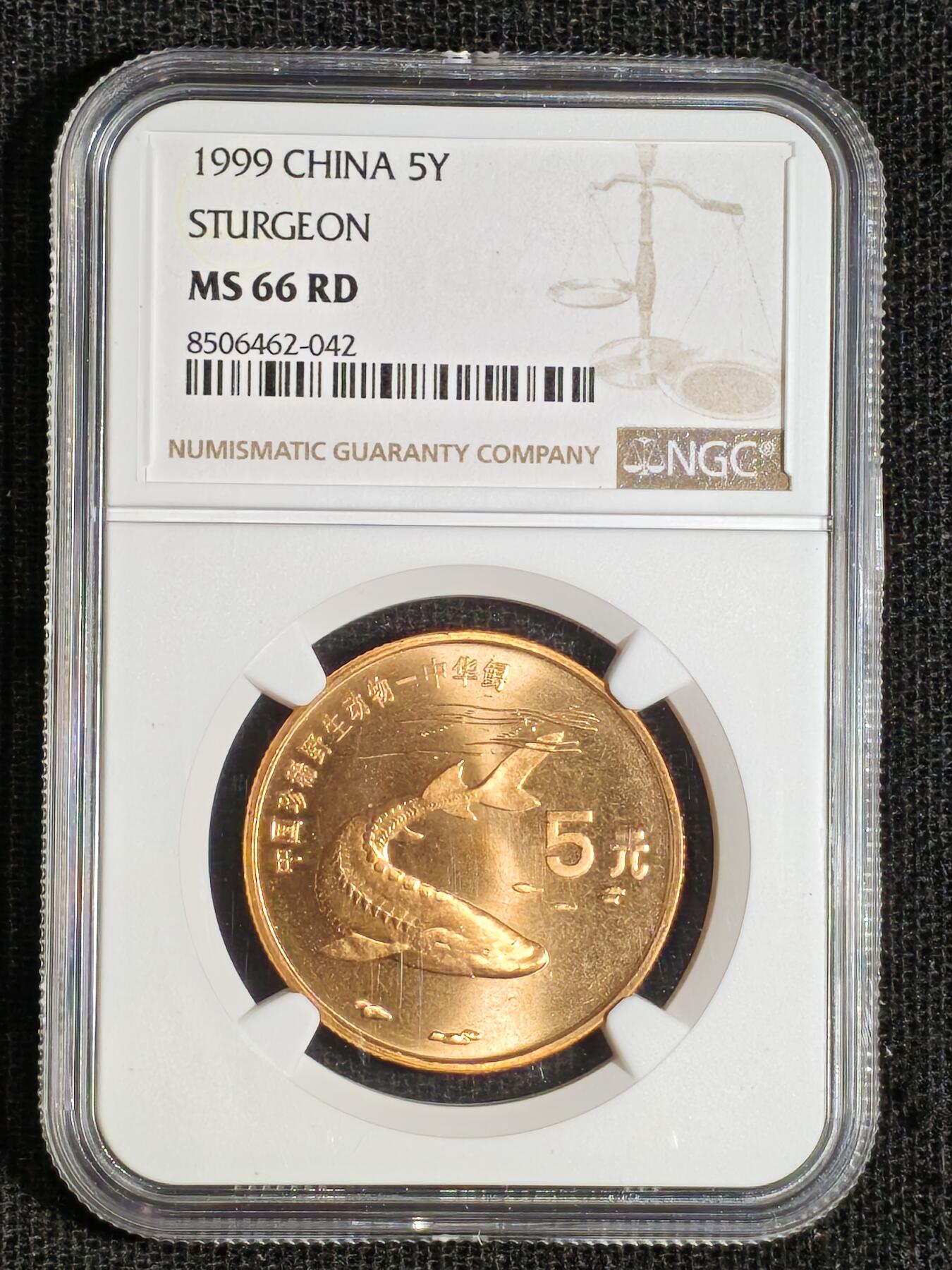 刘世昌艺术品销售中心～虎踞龙蟠*金杨在线联拍群第508期 1999年流通纪念币“中华鲟”（NGC   MS66RD   串号：8506462-042）1枚。