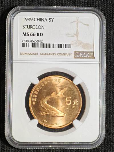 刘世昌艺术品销售中心～虎踞龙蟠*金杨在线联拍群第508期 - 1999年流通纪念币“中华鲟”（NGC   MS66RD   串号：8506462-042）1枚。