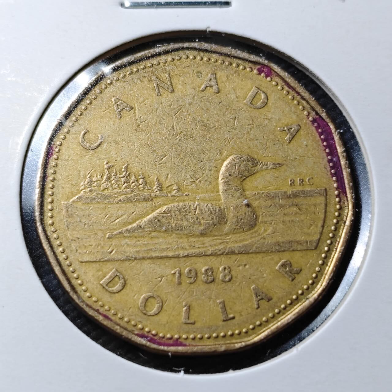 KK钱币收藏小铺  第361场  2月预留时间 周末发货  加拿大1元