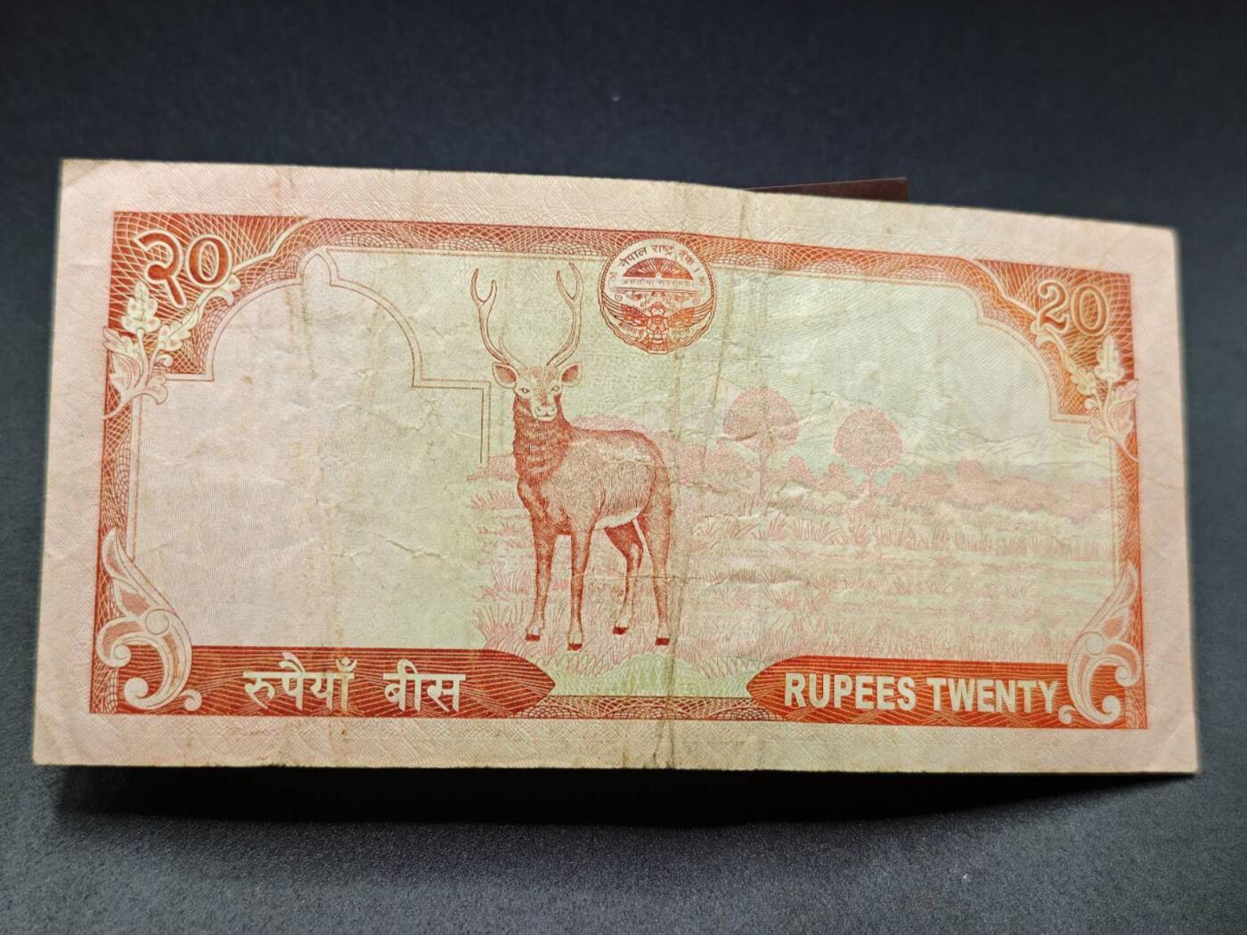 【淘币小摊】实时拍第七百八十二拍   无佣金纸币福利场   满百包邮可预留二周 每周一统一发货   尼泊尔20卢比