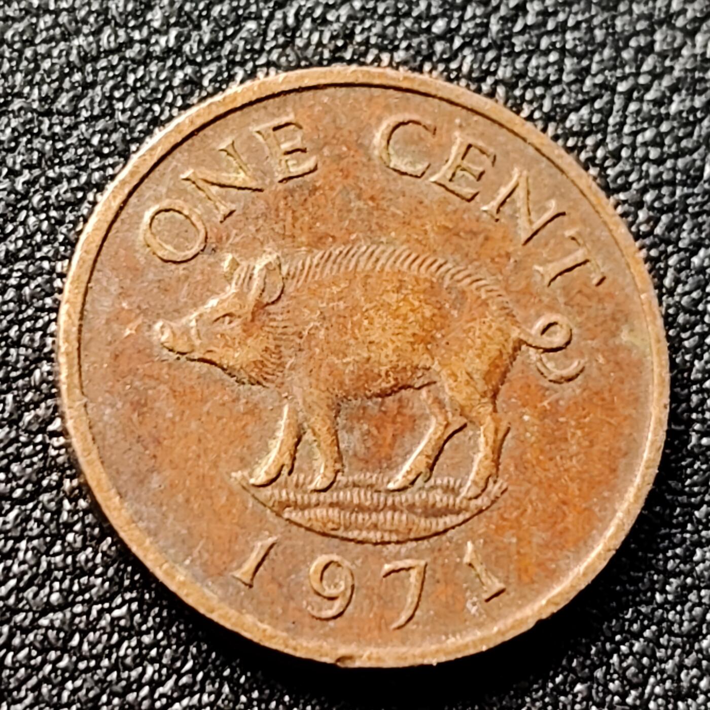 泉币菌-第120场-精品福利场 英属百慕大1971年 1分铜币