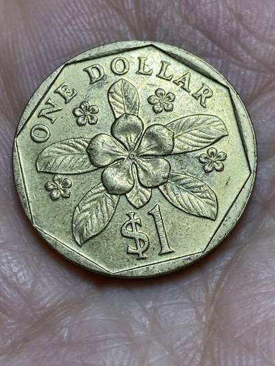 2025年第一百二十场(总第一百四十六场）外国好品散币(免佣金) - 新加坡🇸🇬1989年1元(高盾哭脸版)