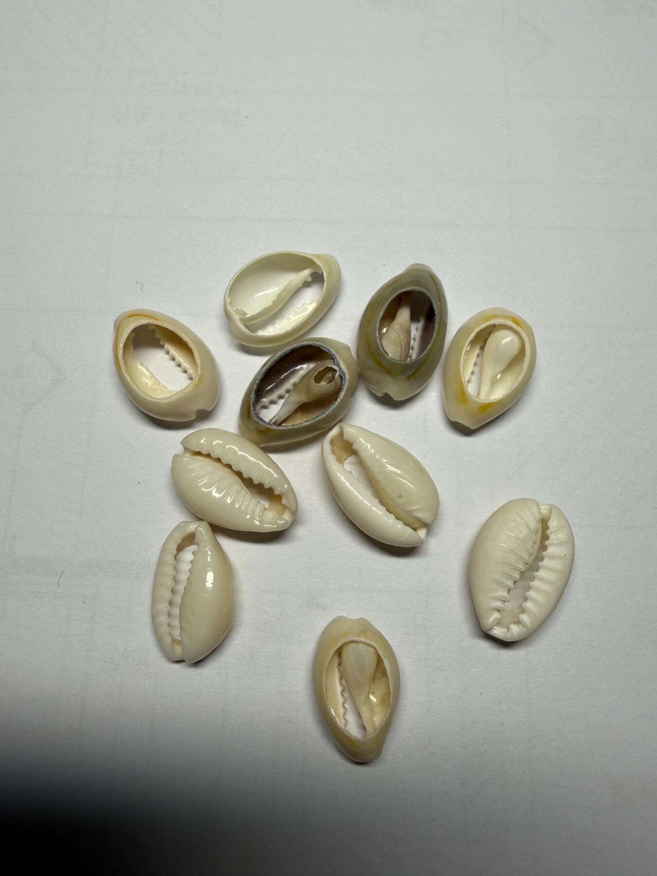 2025年集古藏今外币拍卖第十期-第1场—（总第281拍），本期古钱币全场包真，拍卖名称未备注的均无补裂翘等缺陷，可以寄存60天，满160元包邮。 新贝币10枚