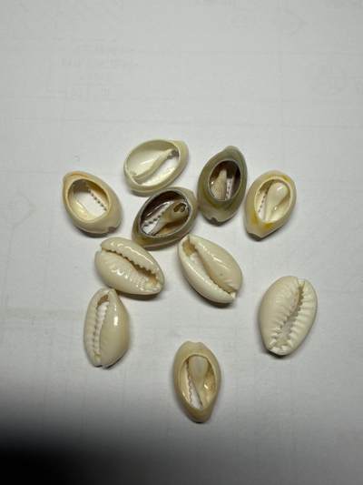 2025年集古藏今外币拍卖第十期-第1场—（总第281拍），本期古钱币全场包真，拍卖名称未备注的均无补裂翘等缺陷，可以寄存60天，满160元包邮。 - 新贝币10枚