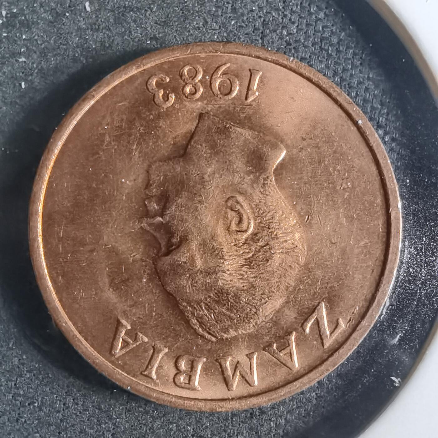 沼泽如烟--第885场 赞比亚1983年1恩韦