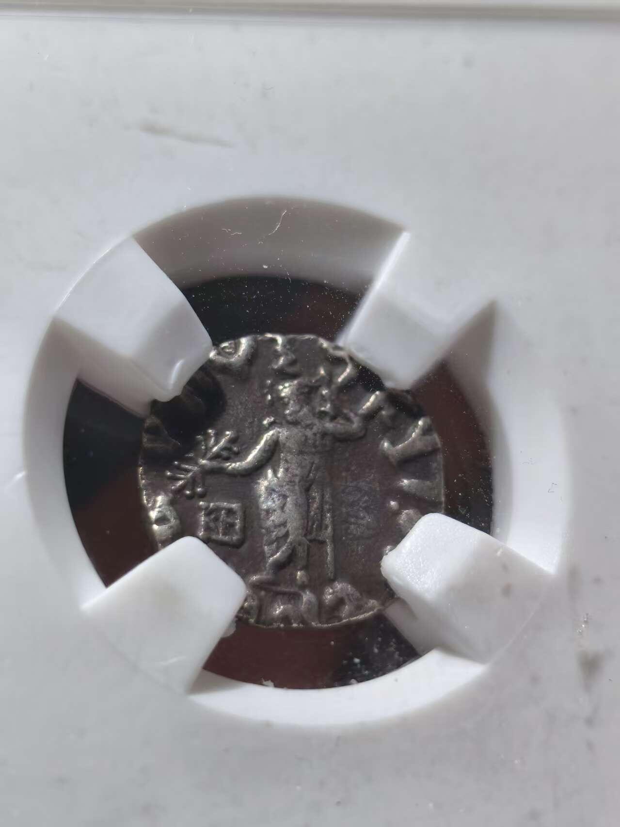 星盘世界钱币十一月五日古典币专场