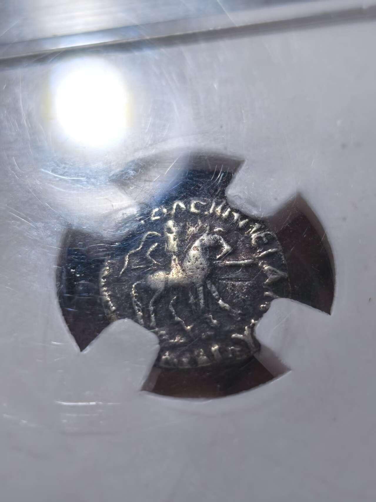 星盘世界钱币十一月五日古典币专场