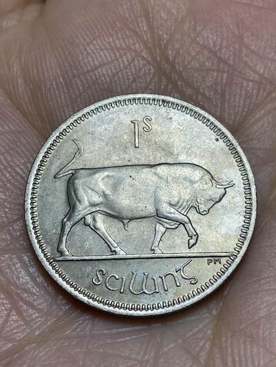 2025年第一百二十场(总第一百四十六场）外国好品散币(免佣金) - 爱尔兰🇮🇪1968年1先令(共和国时期第一套第二版)