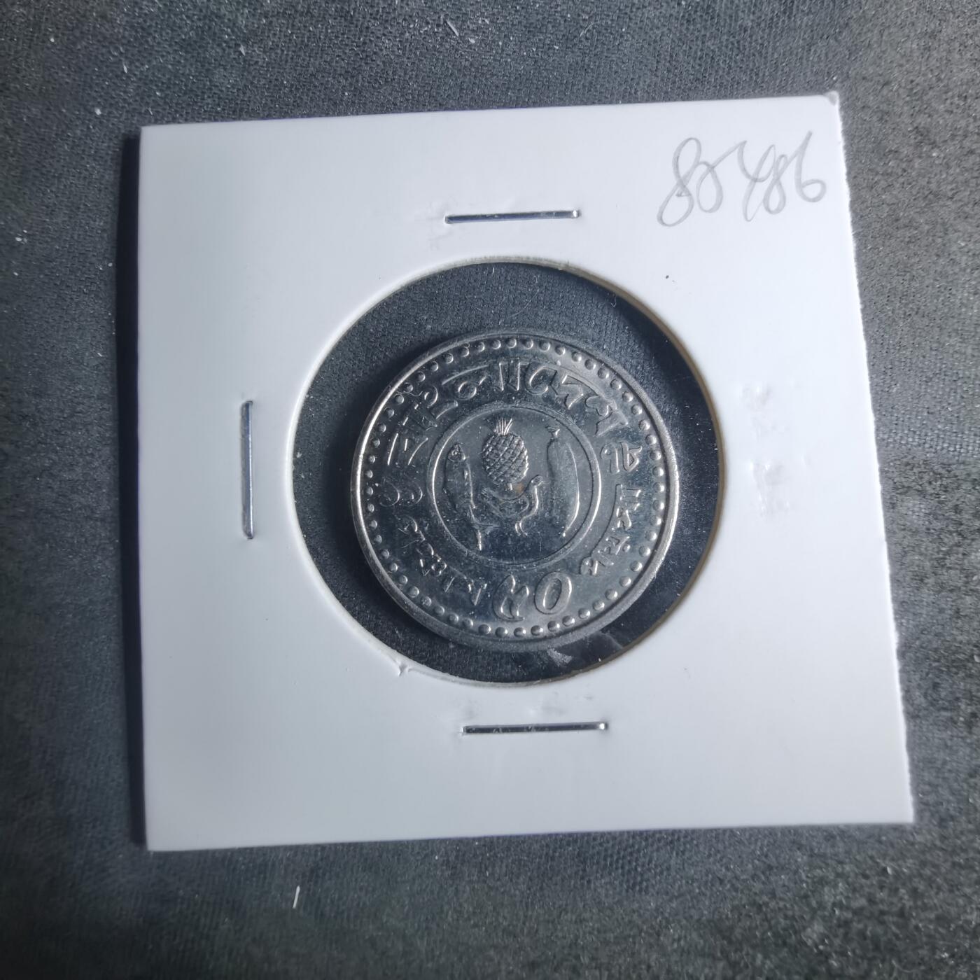 沼泽如烟--第885场 孟加拉