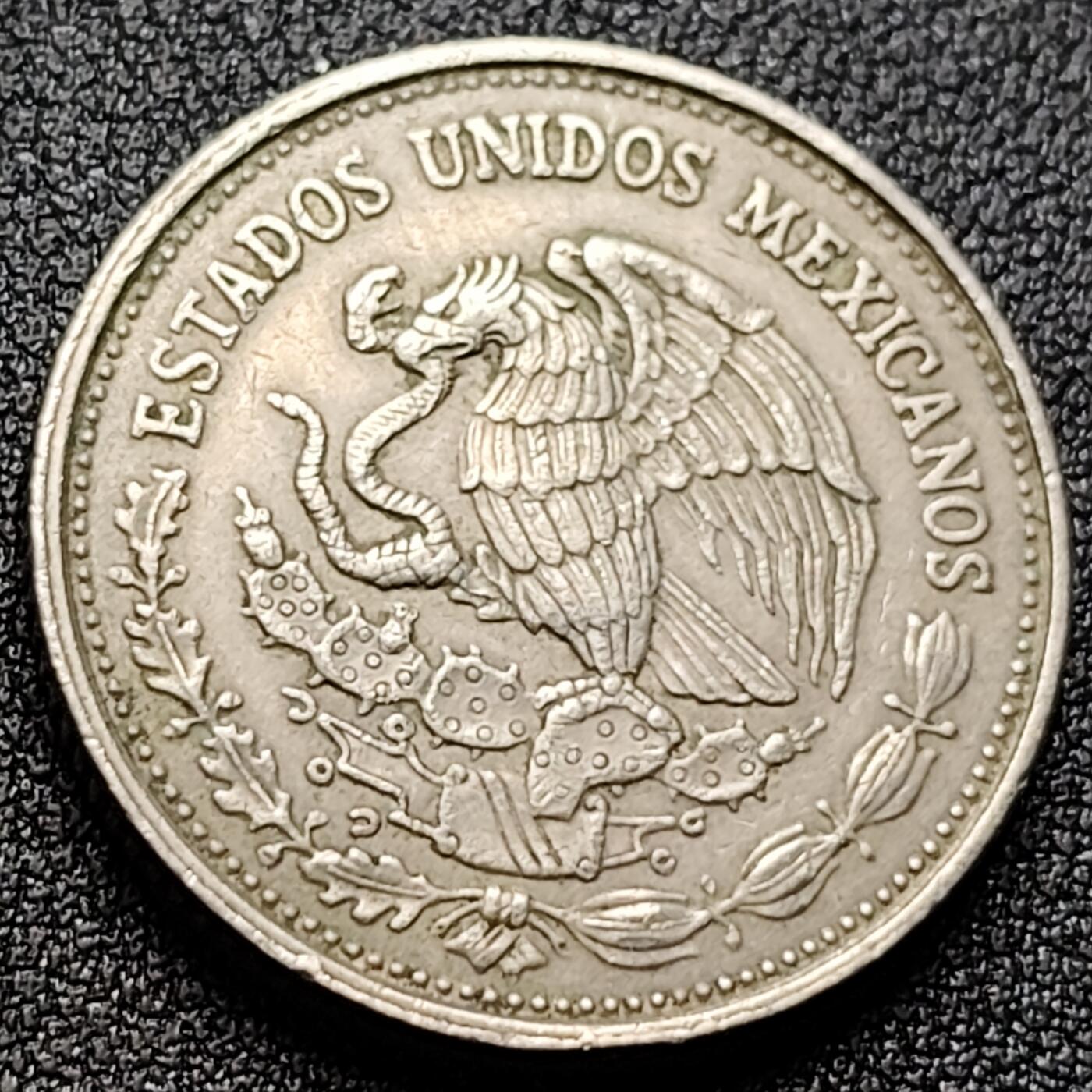 泉币菌-第120场-精品福利场