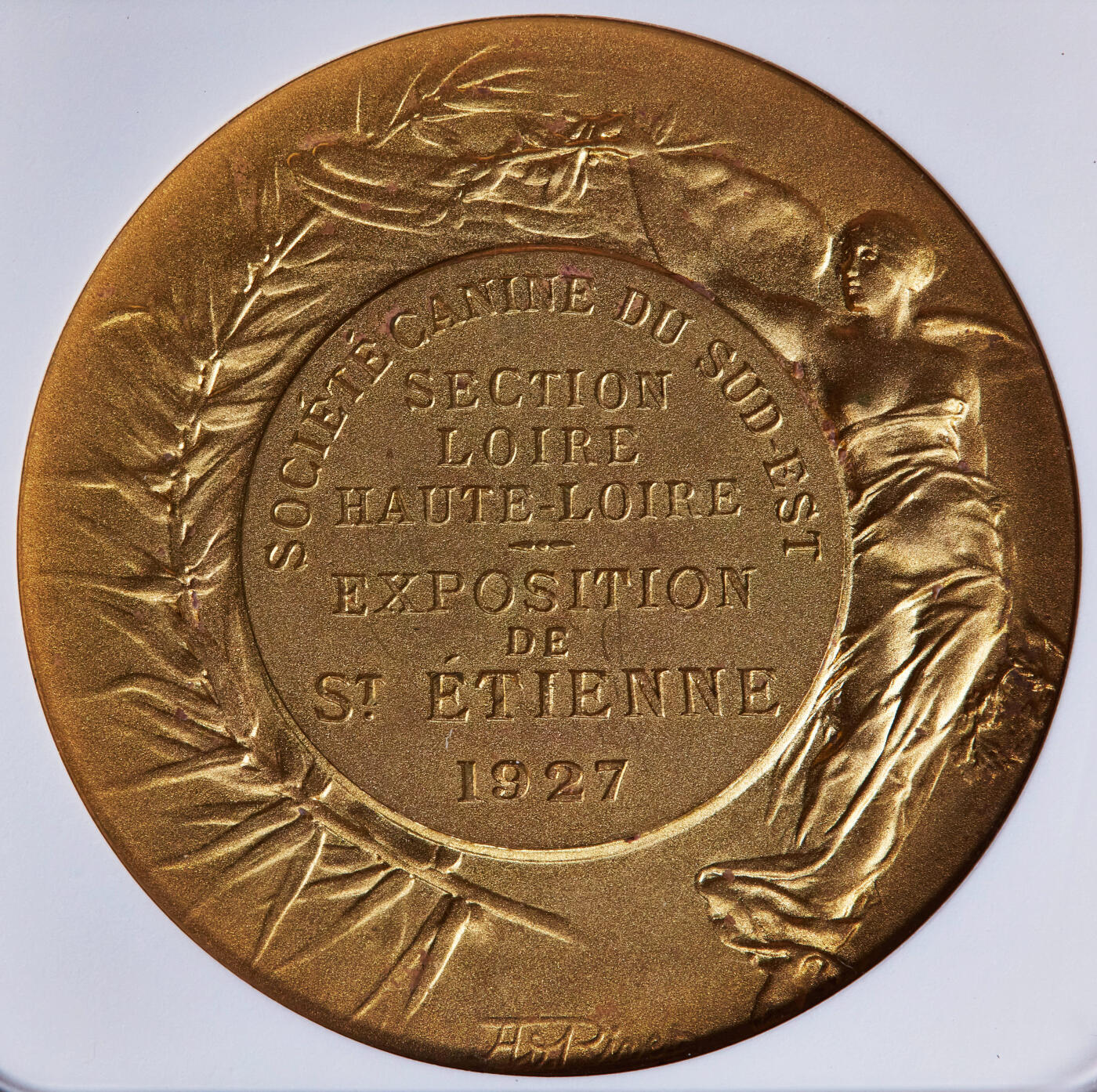 【俄甄集藏】2025年(044)11-12星期三晚 19:30 全场包邮 法国1927年犬科动物协会纪念圣艾蒂安犬业博览会镀金大铜章，NGC MS63，磨砂底板，金水足