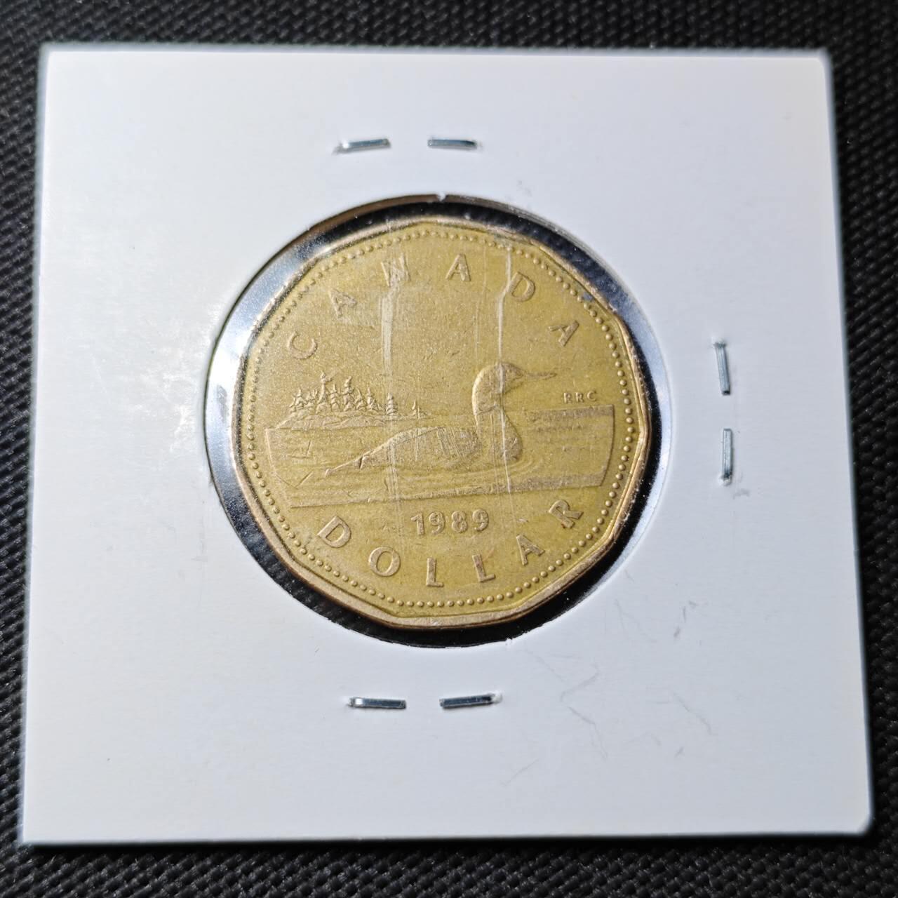 KK钱币收藏小铺  第361场  2月预留时间 周末发货  加拿大1元