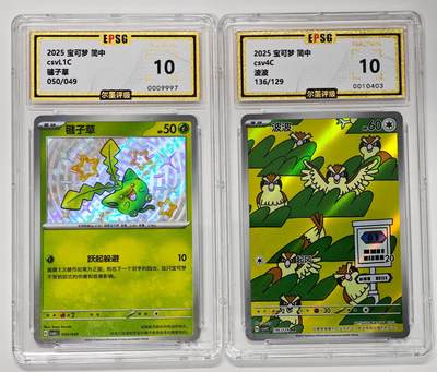 白泽拍卖卡牌手绘专场第27期 - 2025 宝可梦 简中 2张 毽子草050/049，波波136/129 彩闪 尔墨评级 2张10分