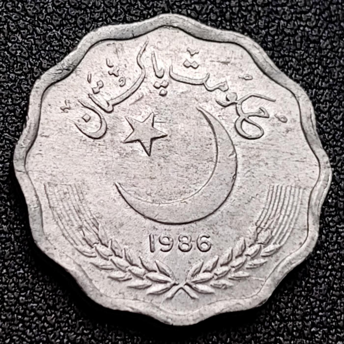 泉币菌-第121场-精品福利场