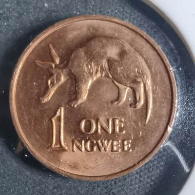 沼泽如烟--第885场 - 赞比亚1983年1恩韦