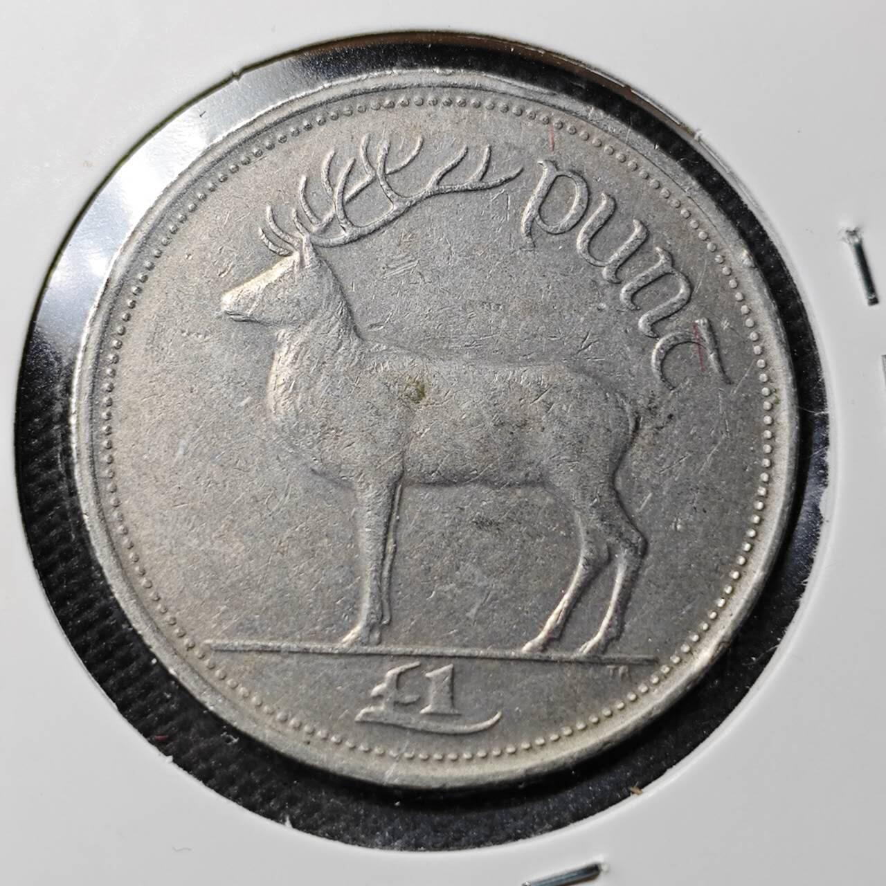 KK钱币收藏小铺  第361场  2月预留时间 周末发货  1990爱尔兰1镑