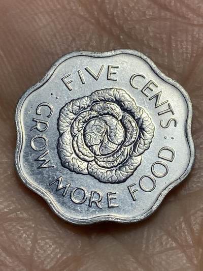 2025年第一百二十场(总第一百四十六场）外国好品散币(免佣金) - 塞舌尔🇸🇨1975年5分(FAO币)