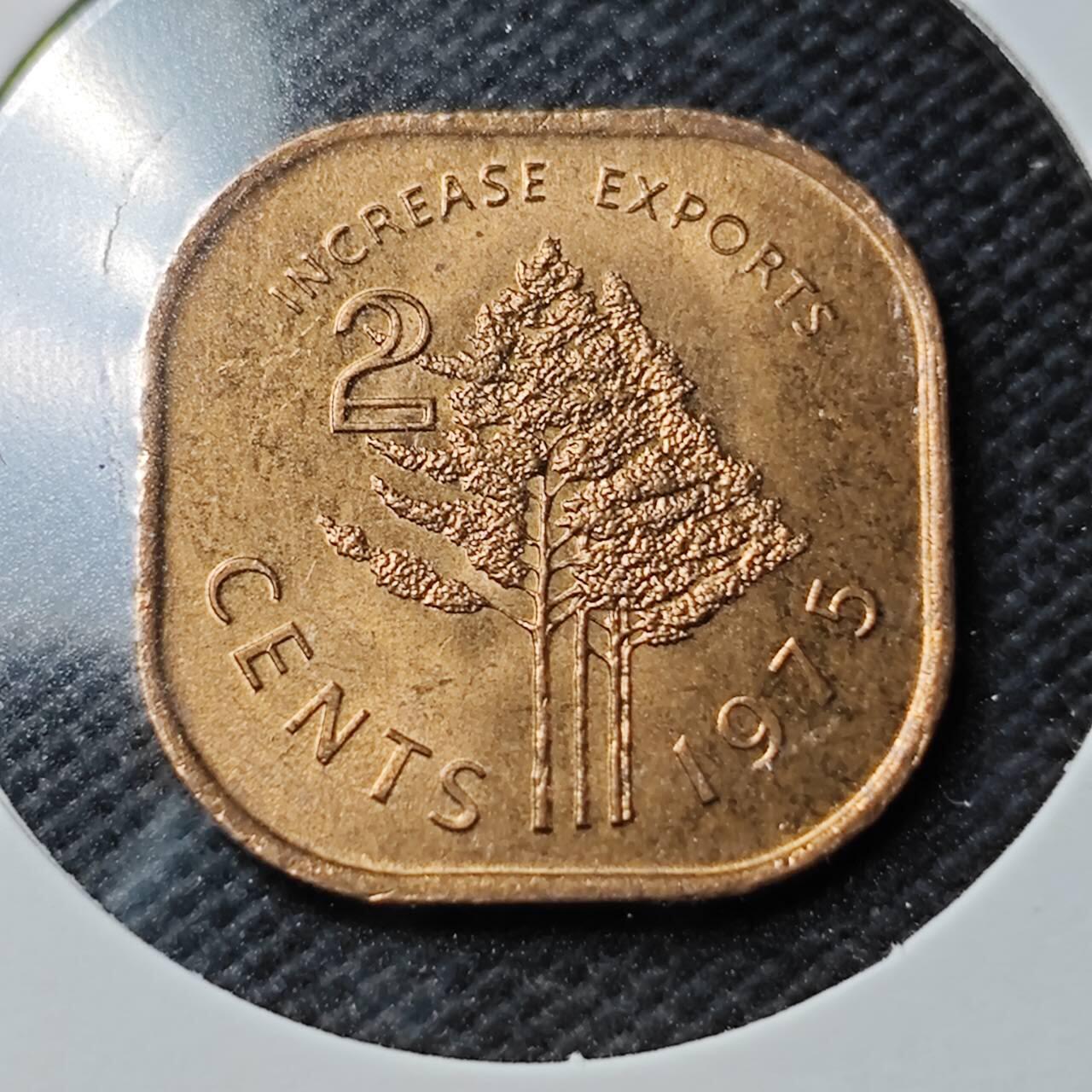 KK钱币收藏小铺  第361场  2月预留时间 周末发货  1975斯威士兰2分铜币 好品