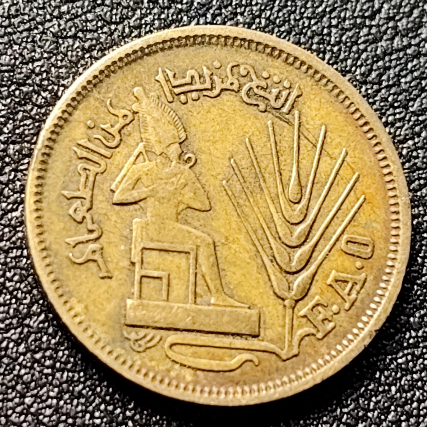 泉币菌-第120场-精品福利场 埃及10皮阿斯特 世界粮农组织纪念币 黄铜硬币21mm3.2g