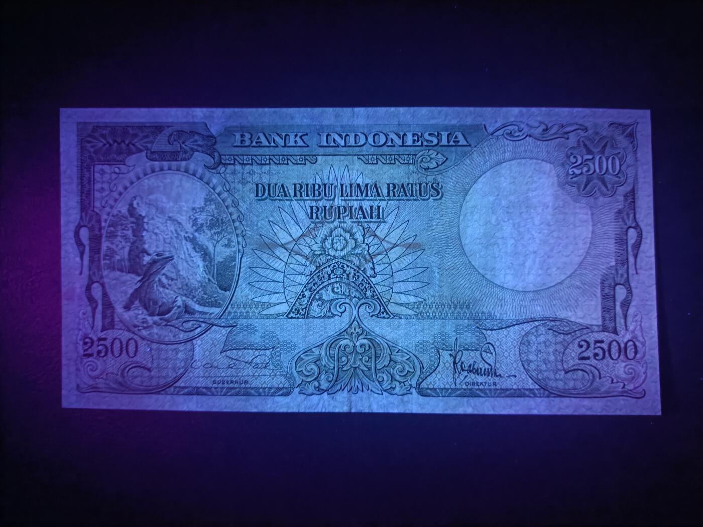 2025十一月第一期，总199期 印度尼西亚1957版2500卢比AUNC，科莫多巨蜥和河边小村，少见面值