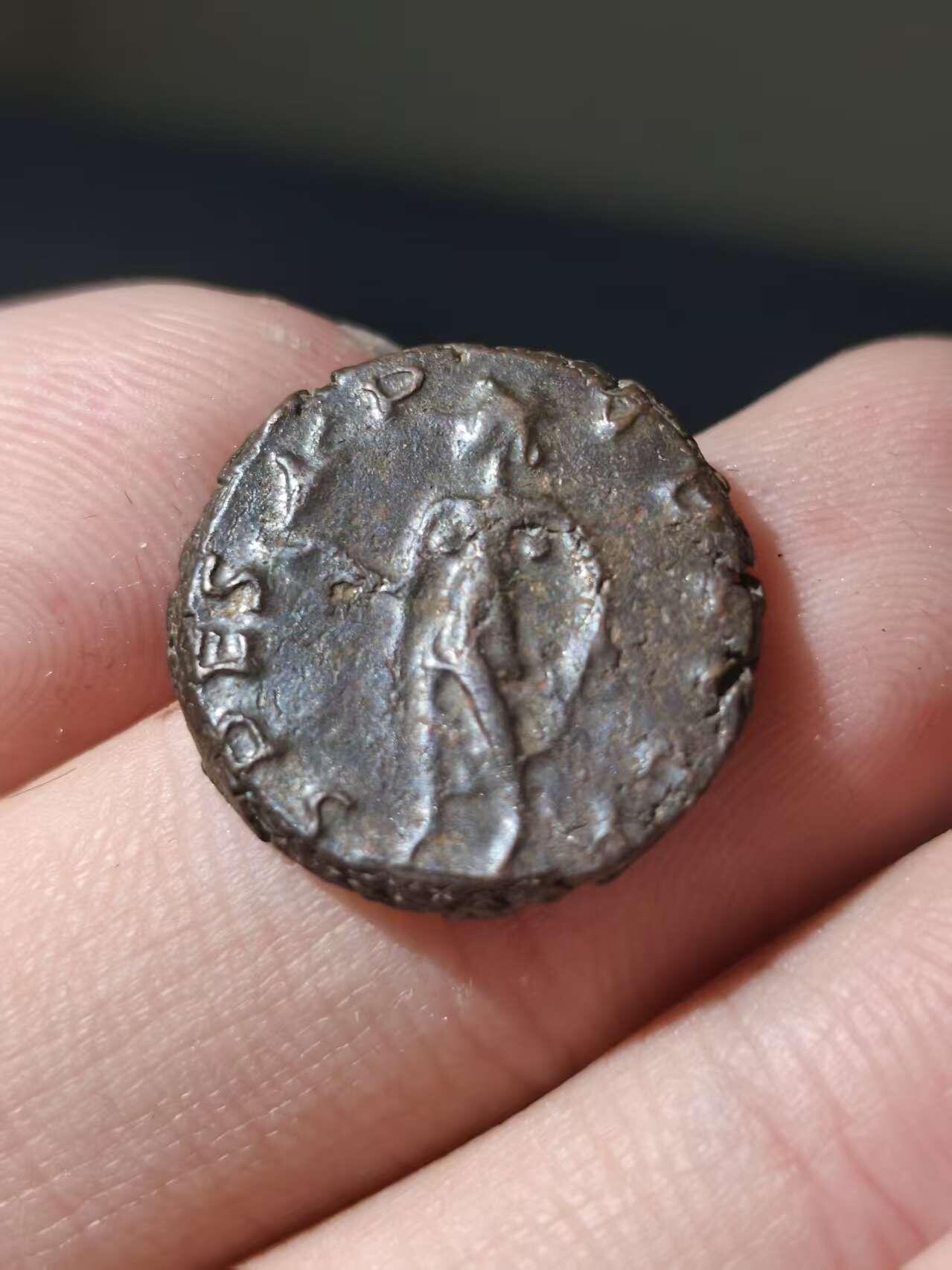 星盘世界钱币十一月五日古典币专场