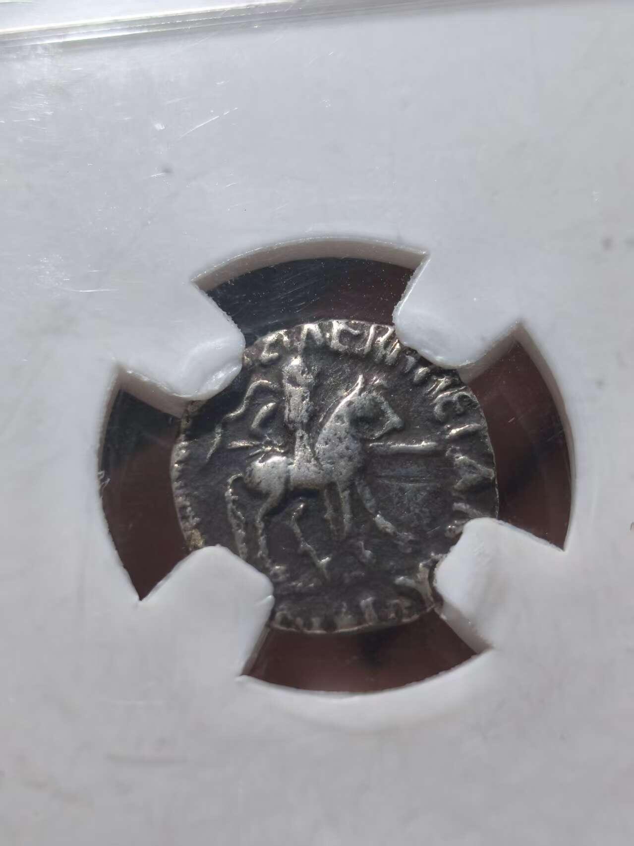 星盘世界钱币十一月五日古典币专场