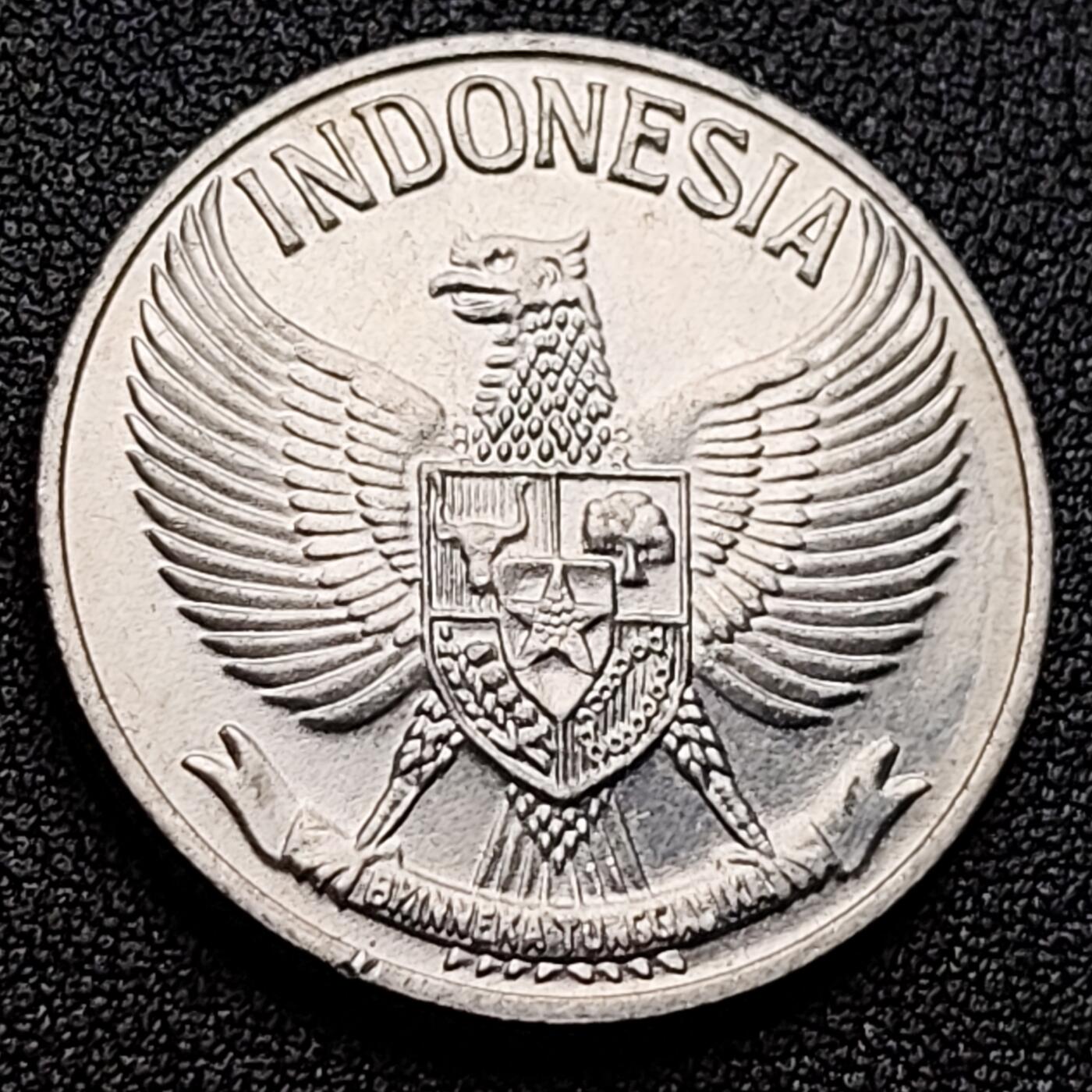 泉币菌-第121场-精品福利场