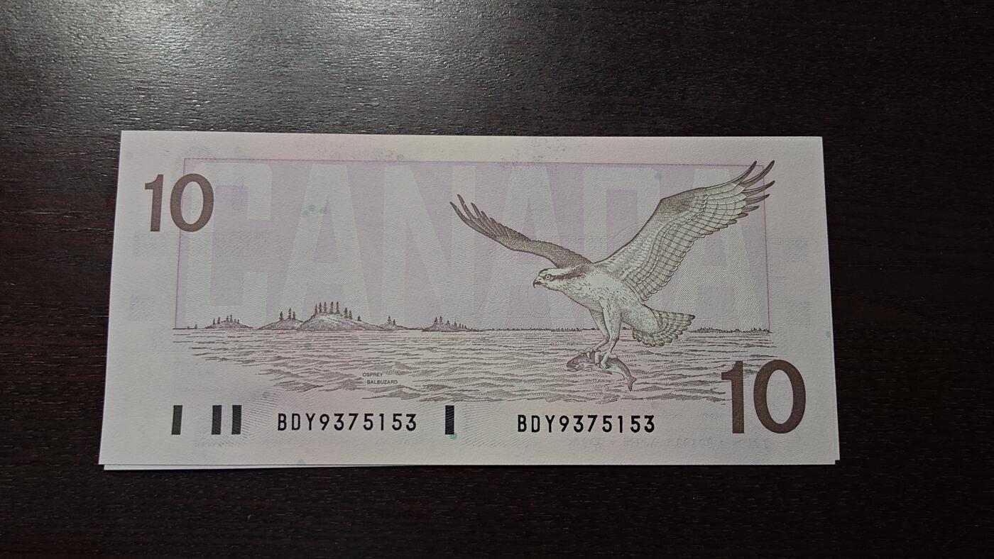 世界钱币～微拍第212期暨2025年第52期  部分库存清仓选号 1989年加拿大10元鸟版 全新绝品无4尾号153