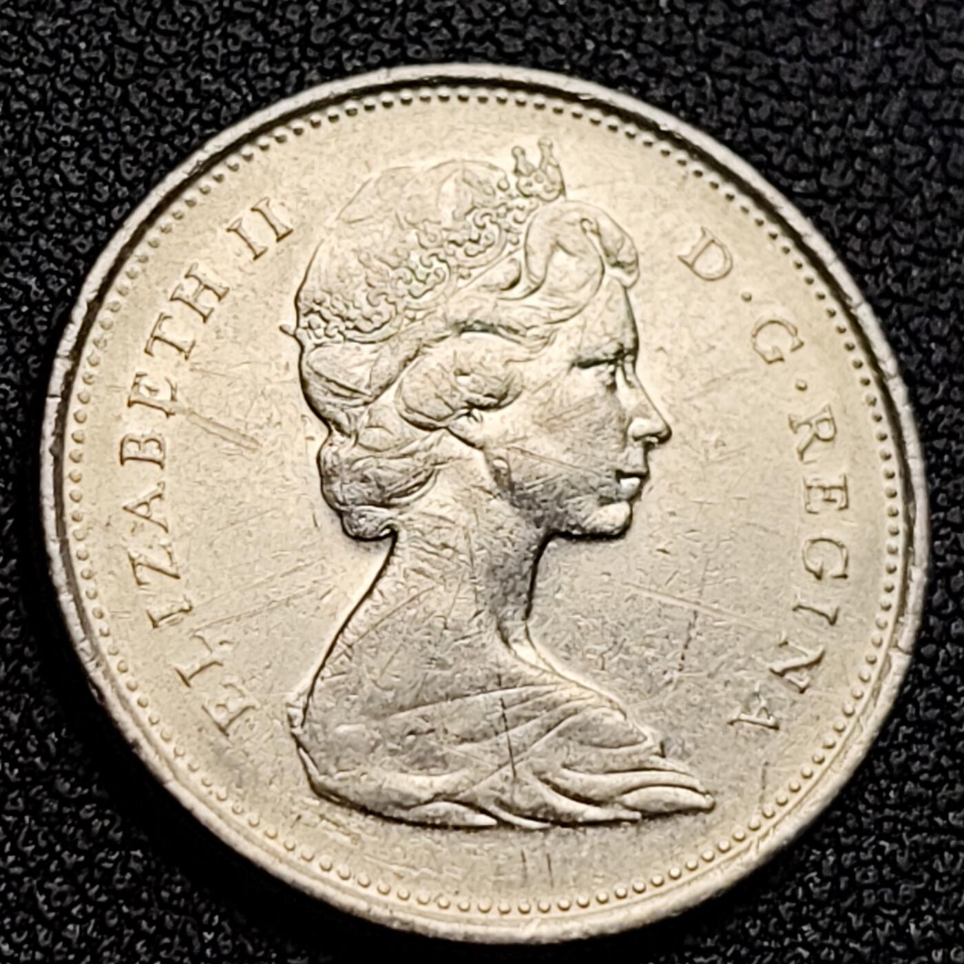 泉币菌-第122场-精品福利场