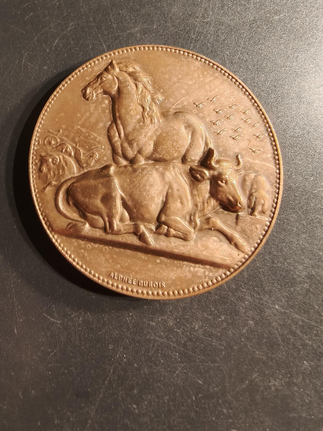 老王徽章第160期  法国畜牧业大铜章     直径50mm.    重量64.1g