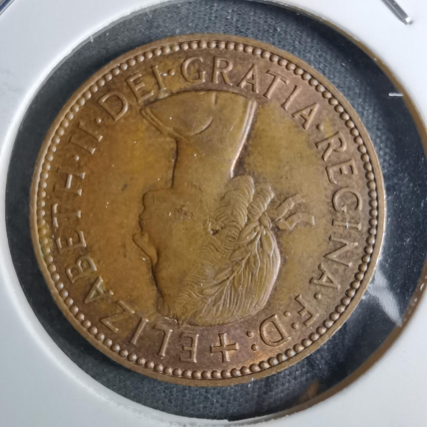 沼泽如烟--第886场